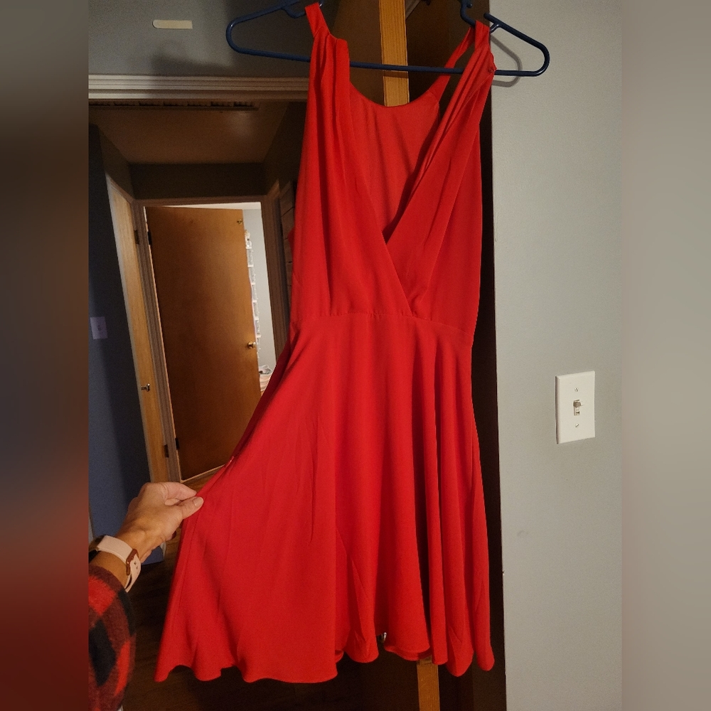 Express Dress - Picture 3 of 3
